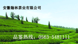 ҳӰģ - м - 250x140 - 2